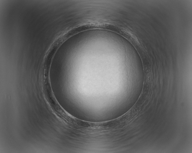X0000083970736200702232017
