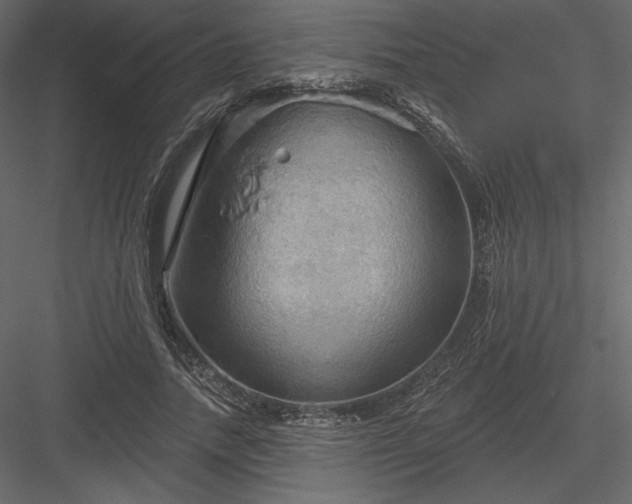X0000083970738200702232017