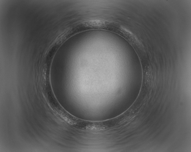 X0000083970739200702232017