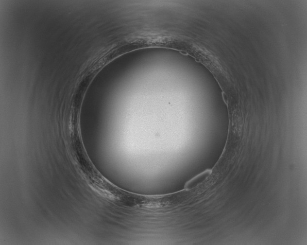 X0000083970740200702232017