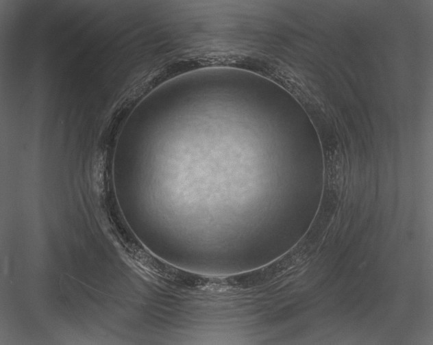 X0000083970742200702232017