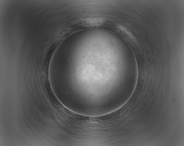 X0000083970743200702232017