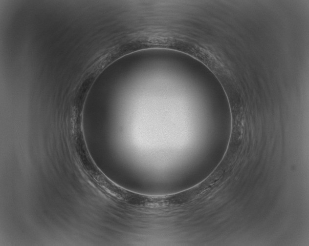 X0000083970744200702232017
