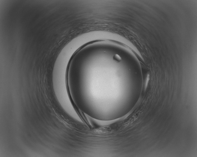 X0000083970750200702232017