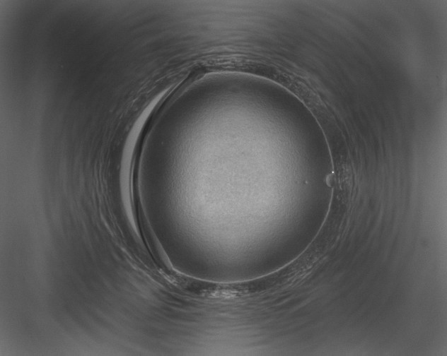 X0000083970751200702232017
