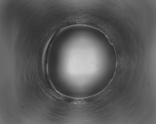 X0000083970752200702232017