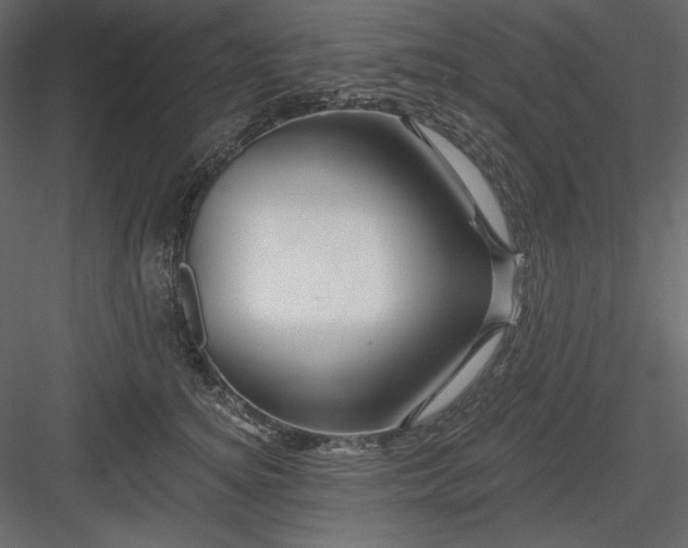X0000083970756200702232017