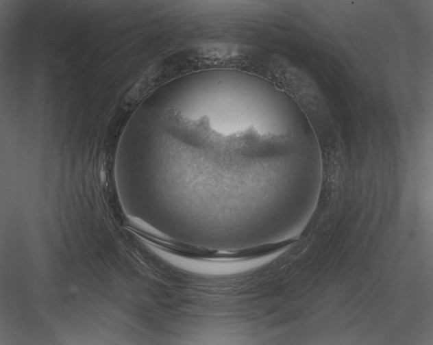 X0000083970758200702232017