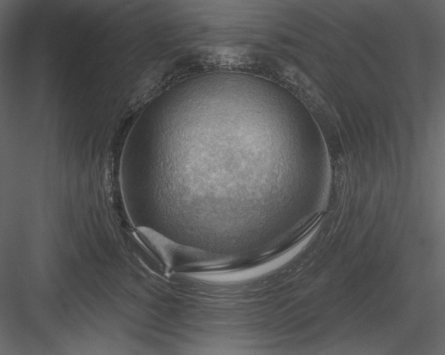 X0000083970760200702232017