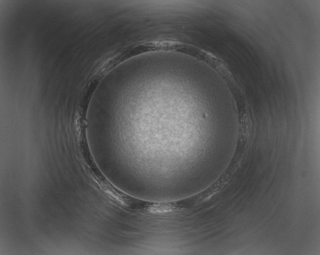 X0000083970762200702232018