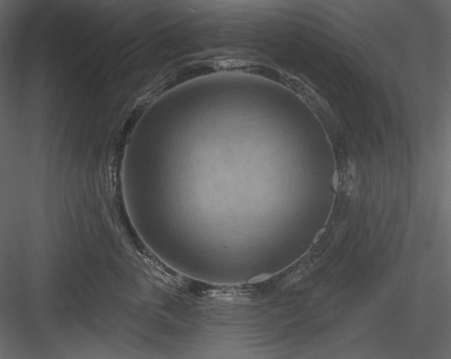 X0000083970763200702232018