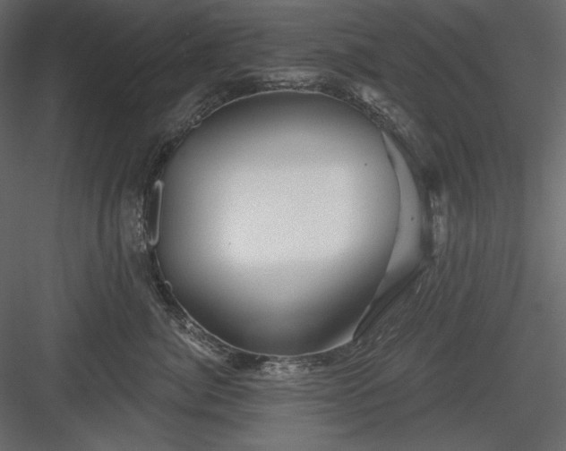 X0000083970764200702232018