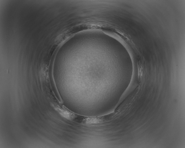 X0000083970766200702232018
