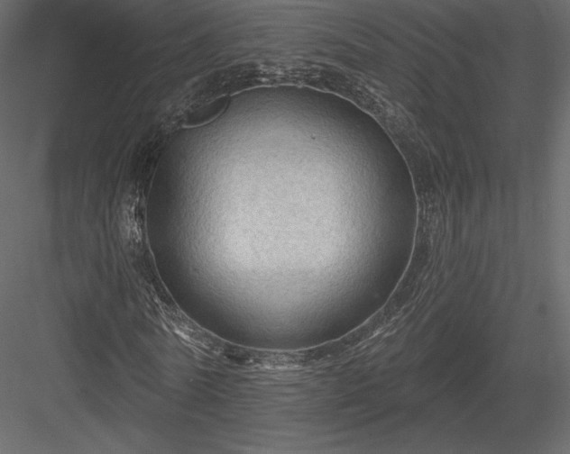 X0000083970770200702232017