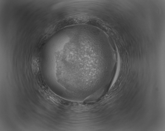 X0000083970772200702232017