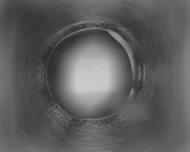 X0000083970773200702232017
