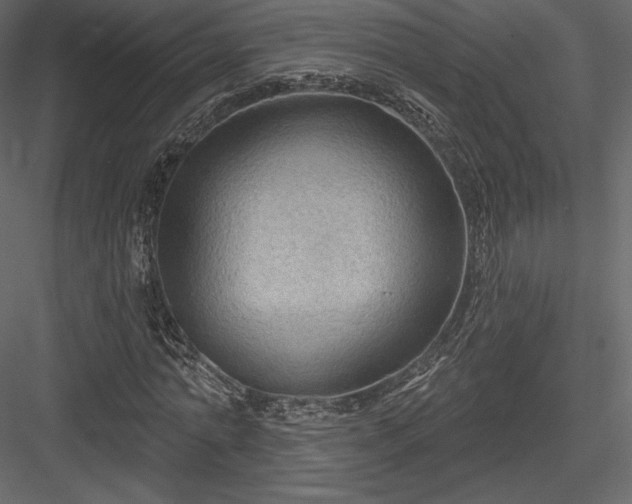 X0000083970774200702232017