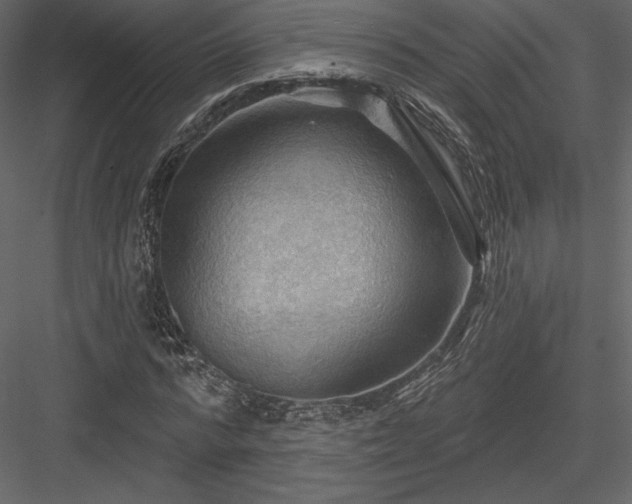 X0000083970776200702232017