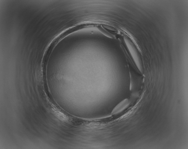 X0000083970779200702232017