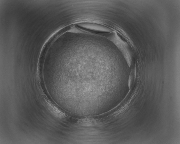 X0000083970780200702232017