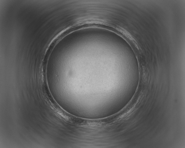X0000083970782200702232017