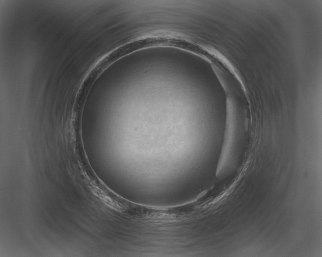 X0000083970783200702232017