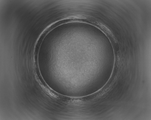 X0000083970784200702232017