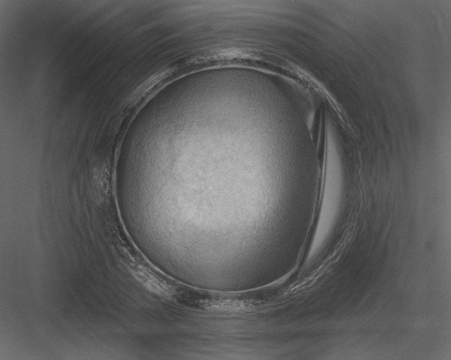 X0000083970785200702232017