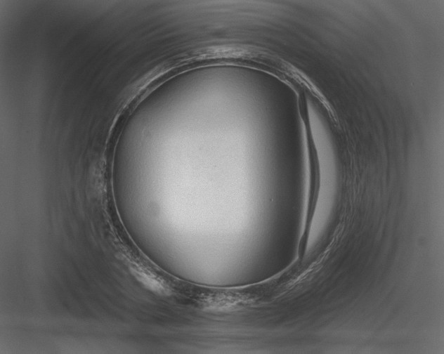 X0000083970786200702232016