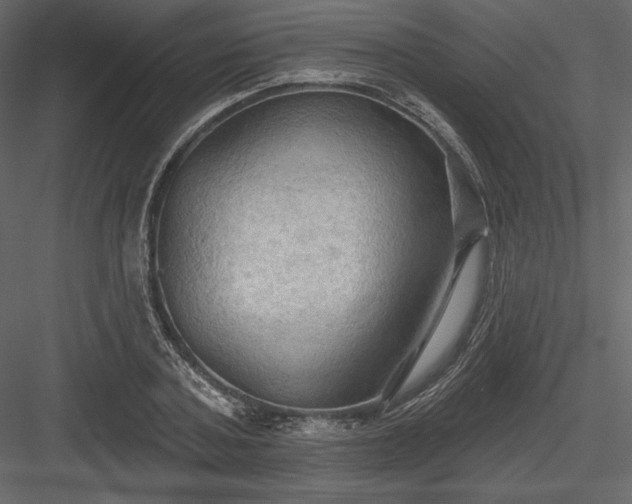X0000083970787200702232016