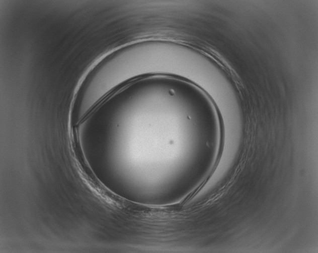 X0000083970788200702232016