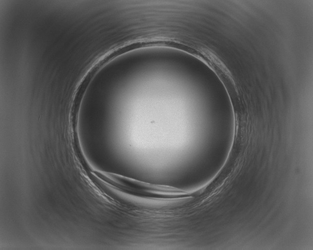 X0000083970789200702232016