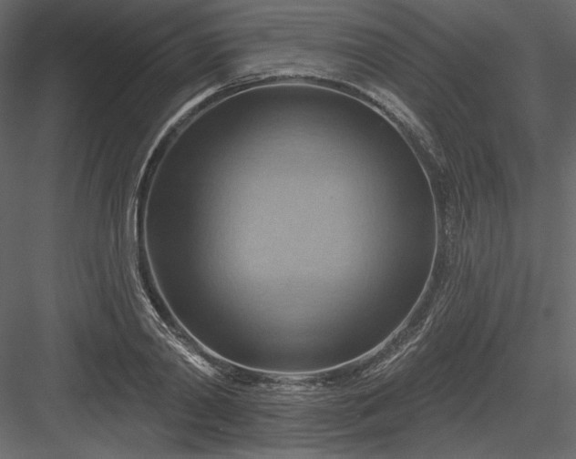 X0000083970790200702232016