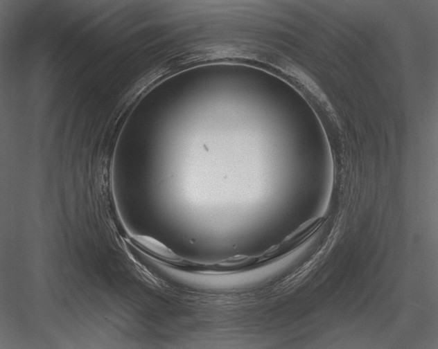 X0000083970793200702232016
