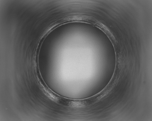 X0000083970794200702232016