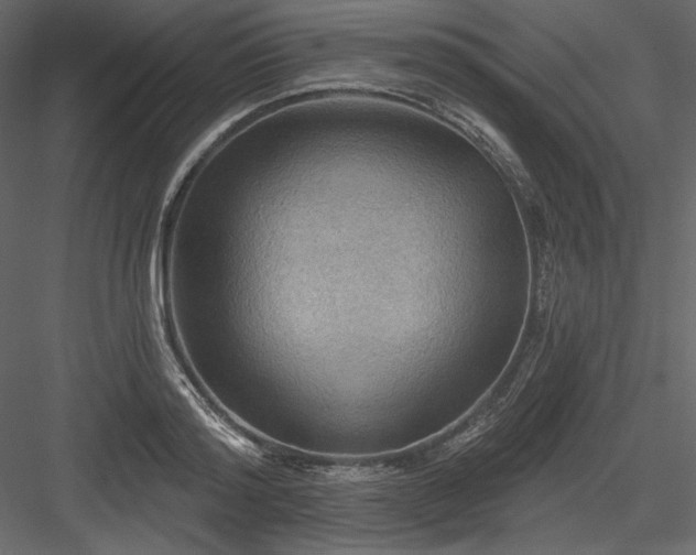 X0000083970796200702232016