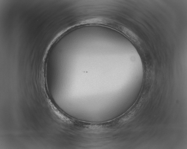 X0000083970800200702232016