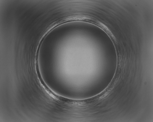X0000083970802200702232016