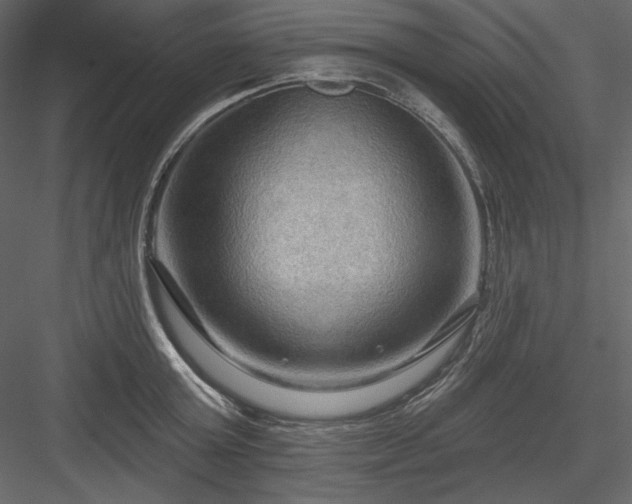 X0000083970803200702232016