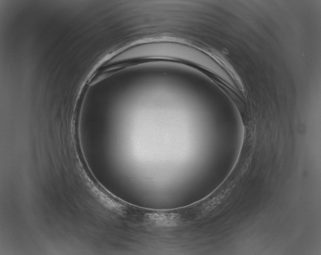 X0000083970805200702232016