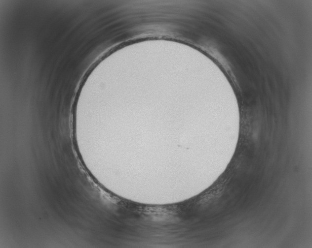 X0000083970807200702232016