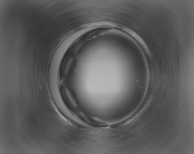 X0000083970809200702232016