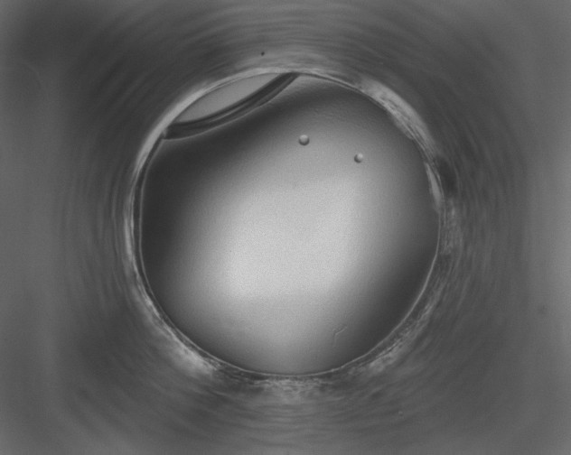 X0000083970812200702232016