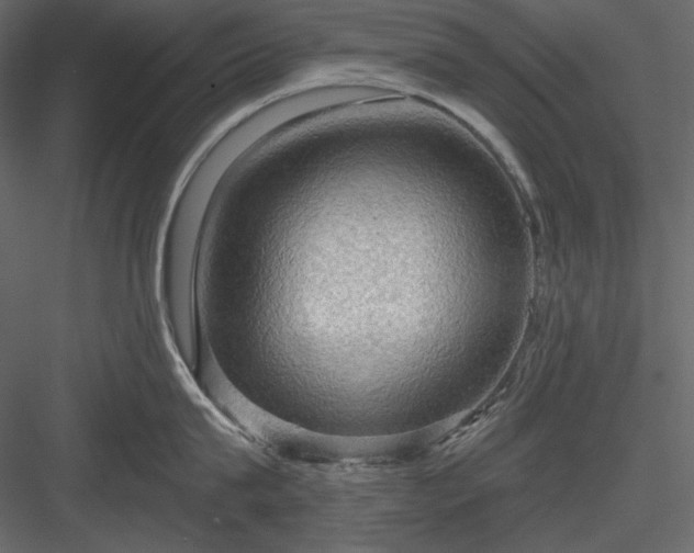 X0000083970815200702232016