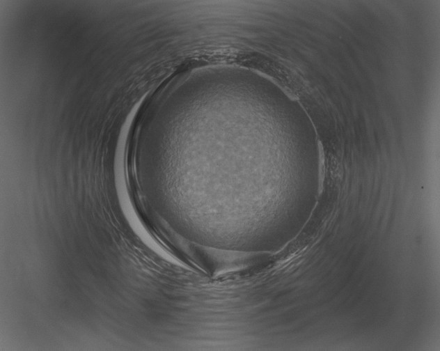 X0000083970818200702232015