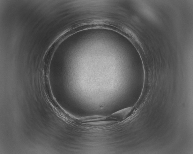 X0000083970827200702232015