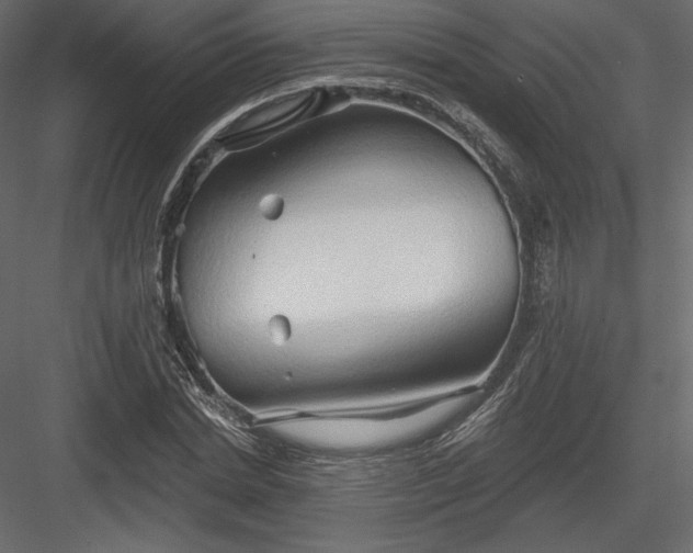 X0000083970830200702232015