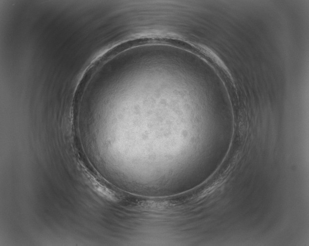 X0000083970831200702232015
