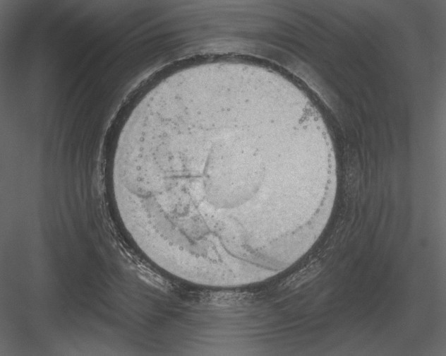 X0000083970832200702232015