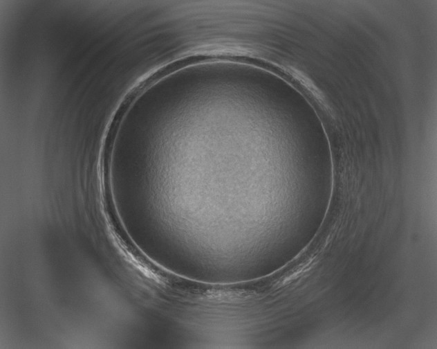 X0000083970840200702232016